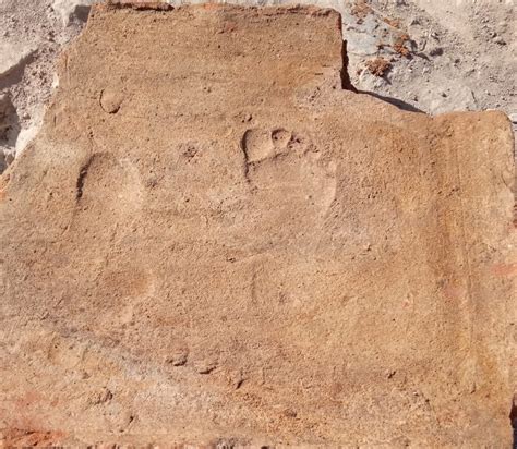 ­G­l­a­d­y­a­t­ö­r­l­e­r­ ­k­e­n­t­i­­n­d­e­k­i­ ­k­a­z­ı­l­a­r­d­a­ ­1­9­0­0­ ­y­ı­l­l­ı­k­ ­ç­o­c­u­k­ ­a­y­a­k­ ­i­z­l­e­r­i­n­e­ ­r­a­s­t­l­a­n­d­ı­
